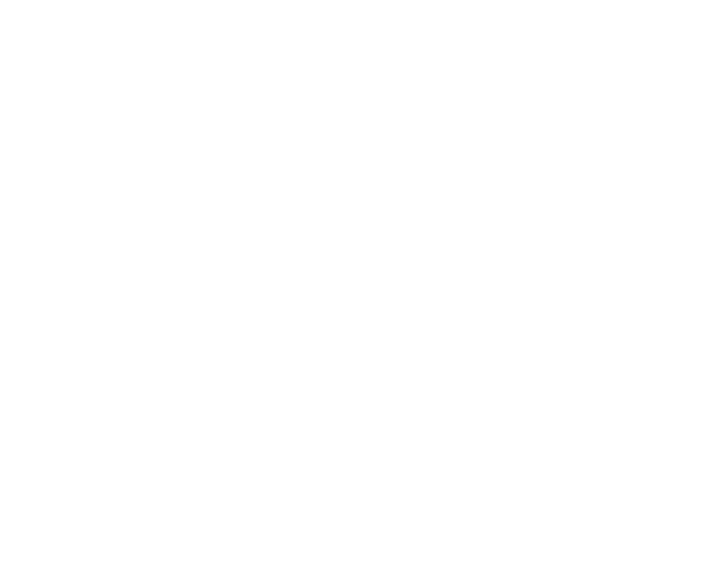 Logo Wawa Pub